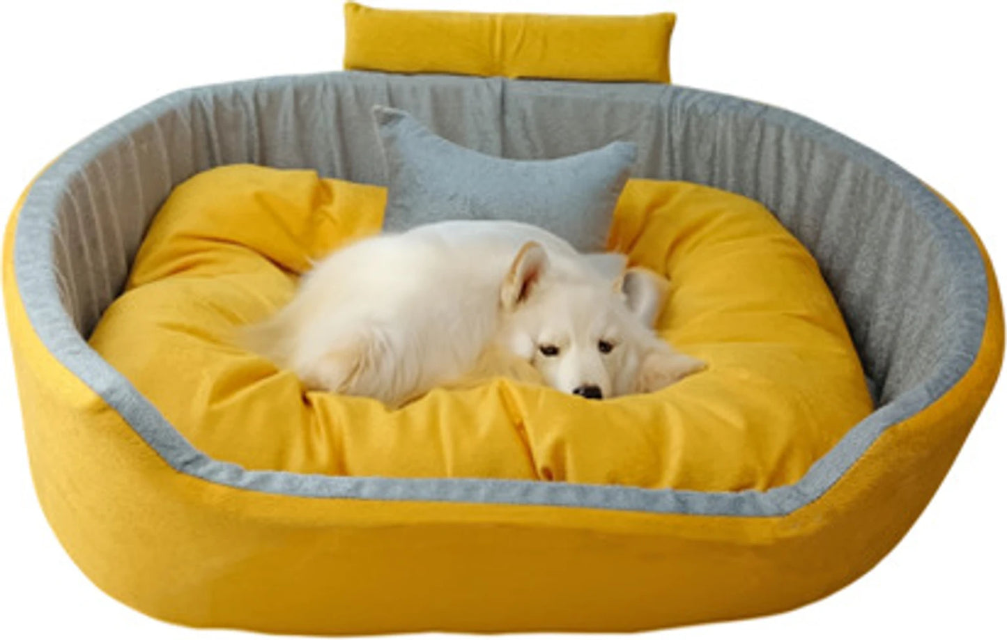 Dog Washable Beds for Indoor Pets & Puppy